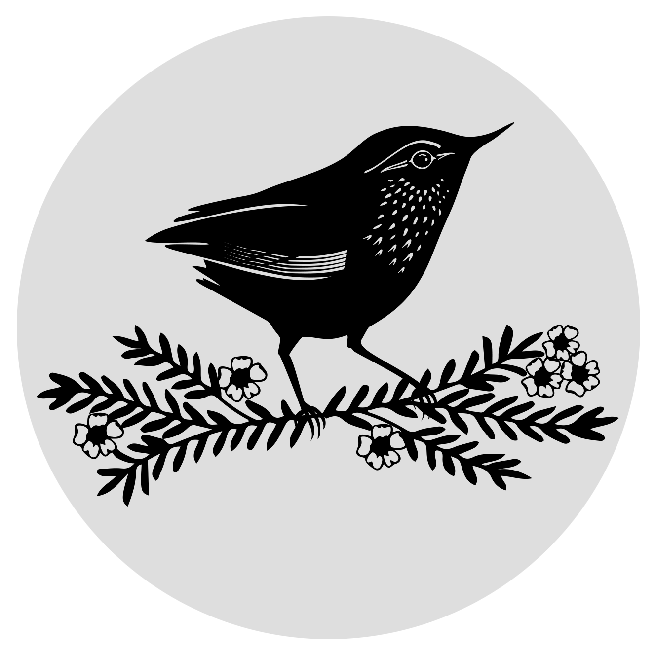 Shop wildbirds nz